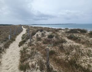 Pointe de Pen-Bron - La Turballe - 4