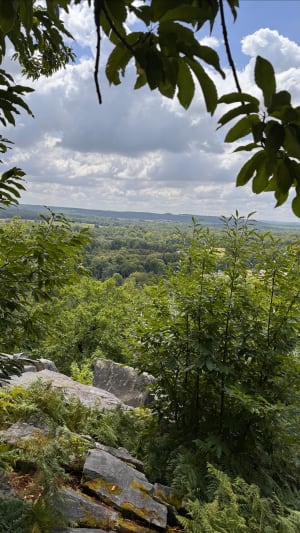Région de Lardy - Vallée de la Juine - Cheptainville - 5