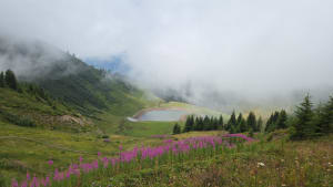 Balade des marmottes - Arâches-la-Frasse - 25