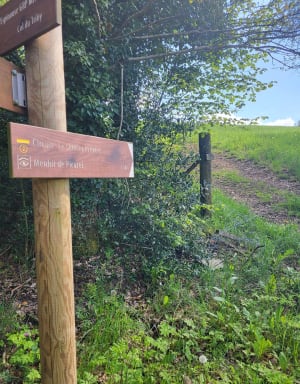 Escapade sur le sentier Prévert et bulle verte - Fraisse-sur-Agout - 7