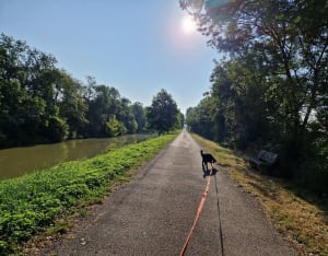 Balade le long du canal de Pont-de-Vaux - lisa - 6