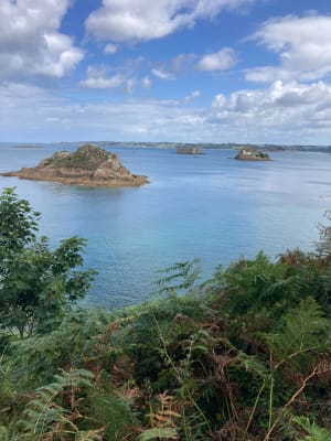 Tronçon GR34 de Carantec, par la Pointe de Penn al Lann - Laetitia - 49