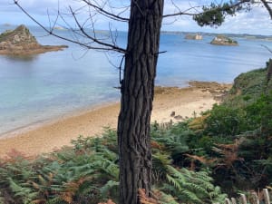 Tronçon GR34 de Carantec, par la Pointe de Penn al Lann - Laetitia - 50