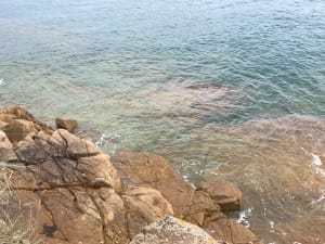 Tronçon GR34 de Carantec, par la Pointe de Penn al Lann - Laetitia - 52