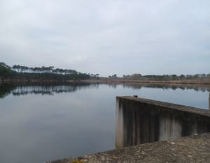 Tour des lacs Saint-Paul-les-Dax - Saint-Paul-lès-Dax - 5