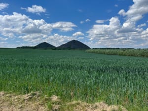Les terrils jumeaux d'Haillicourt depuis Ruitz - Ruitz - 5