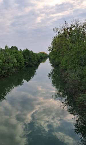 Departementaal park Haute-Île in Chelles - Chelles - 5