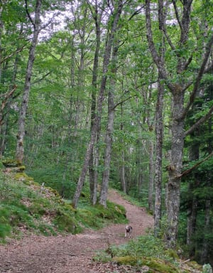 Petite boucle sur la Presqu’île de Belbespré - Nages - 20