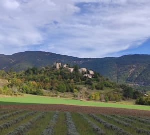 Superbe tour des Baronnies par le Col de Fontaube - Reilhanette - 8