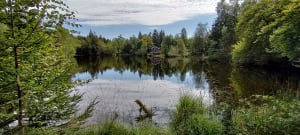 Vue sur la vallée de la Moselle - Ramonchamp - 6