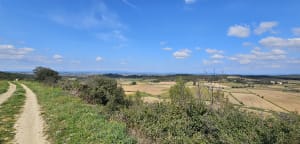 Florensac : entre vignobles, piochs et vestiges historiques - Florensac - 5