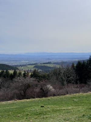 Circuit raccourci des 3 rivières - Essertines-en-Châtelneuf - 5