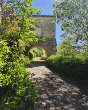 Lussan Concluses en betoverende wandeling - Lussan - 56