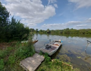 Tour des marais de la Sensée et colonies d'oiseaux - Lécluse - 18