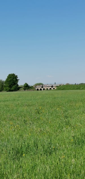 Geudertheim et amour d'itinéraire le long d'une rivière - Christine - 2