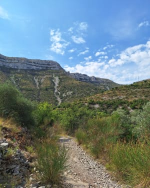Le Cirque de Navacelles et les moulins de la Foux - Saint-Maurice-Navacelles - 53
