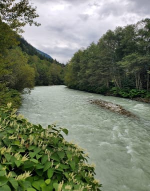 Boucle des Gaillands aux Bossons - Chamonix-Mont-Blanc - 15