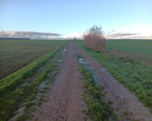 Le Sentier du Souvenir à Neuville-Saint-Vaast - Neuville-Saint-Vaast - 15