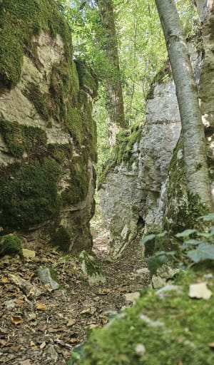 Tour des roches de Veluze et autres curiosités - Barbirey-sur-Ouche - 7