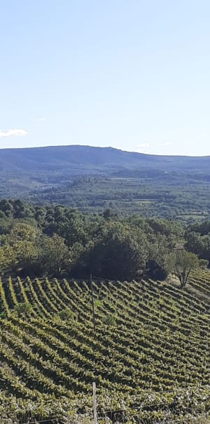 Mormoiron autour de Notre-Dame-des-Anges - Mormoiron - 7