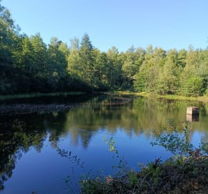 Boucle dans les bois de Genéchier - Échenans-sous-Mont-Vaudois - 2