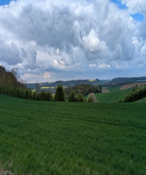 Randonnée sur le Mont de la Comté et ses environs - Beugin - 7