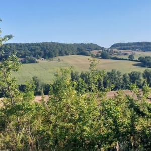 Saint-Thomas, par Saint-Just et Piquepoul - Maïna - 13