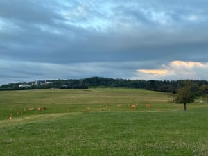 Le sentier des dix depuis la Carrière Collot - Épinal - 8