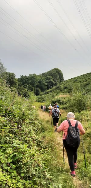Morinerie et bois des Guillebourdières - La Cerlangue - 3