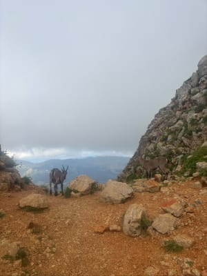 Randonnée au Grand Veymont - Gresse-en-Vercors - 4