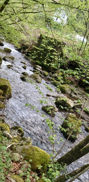 Goutte des Saules-watervalcircuit - Plancher-les-Mines - 7