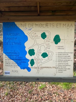 Étang de Moliets et forêt de Messange - Moliets-et-Maa - 12