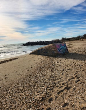 De Portiragnes plage à Vias par le sentier du littoral - Portiragnes - 21
