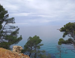Partie sentier du littoral côté Bandol - Bandol - 18