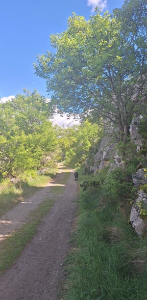 Petite balade sur les hauteur de Lussas - Lussas - 4
