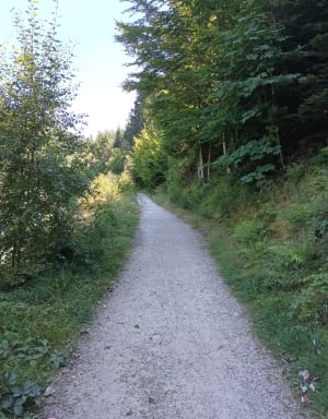 Planfoy en familie wandelen rond de Pas du Riot-dam - Planfoy - 8