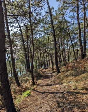 Een korte rondleiding door Cape Goat - Crozon - 218