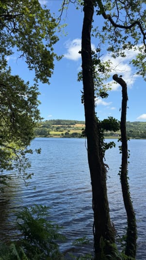 Balade au Lac de Guerlédan - Caurel - 9