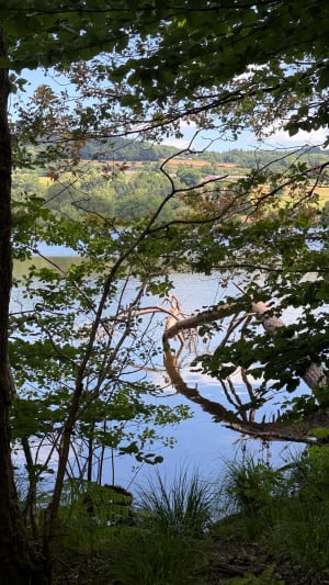 Balade au Lac de Guerlédan - Caurel - 10