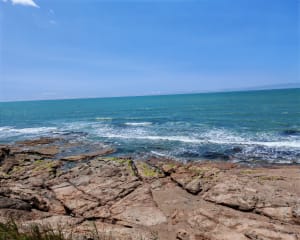 La corniche par la pinède coté Bretignolles - Bretignolles-sur-Mer - 3