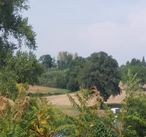 Petite boucle dans Seilhac - Maël
 - 3