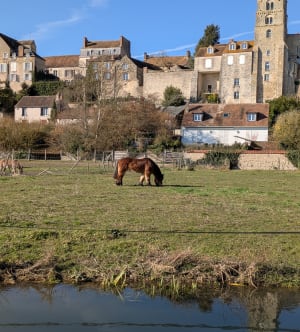 Balade à Château Landon - Marc - 11