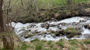 Cauterets, Pyreneeën en prachtige watervallen - Cauterets - 23