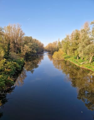 Chazay-Marcilly - Marcilly-d'Azergues - 4