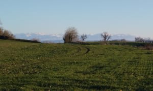 Tout des 4 étangs à Soleymieu - Soleymieu - 5