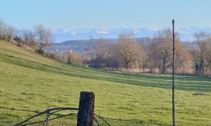 Tout des 4 étangs à Soleymieu - Soleymieu - 7