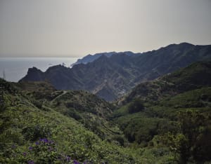 Roque de Taborno à Ténérife - Taborno - 8