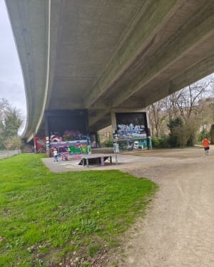 Wandel langs de oevers van de Clain - Poitiers - 6