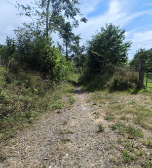 Hauteville-sur-Mer, entre dunes et havres à VTT - Eric - 3