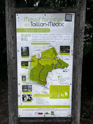 Circuit bleu bois du Taillan-Médoc - Le Taillan-Médoc - 6